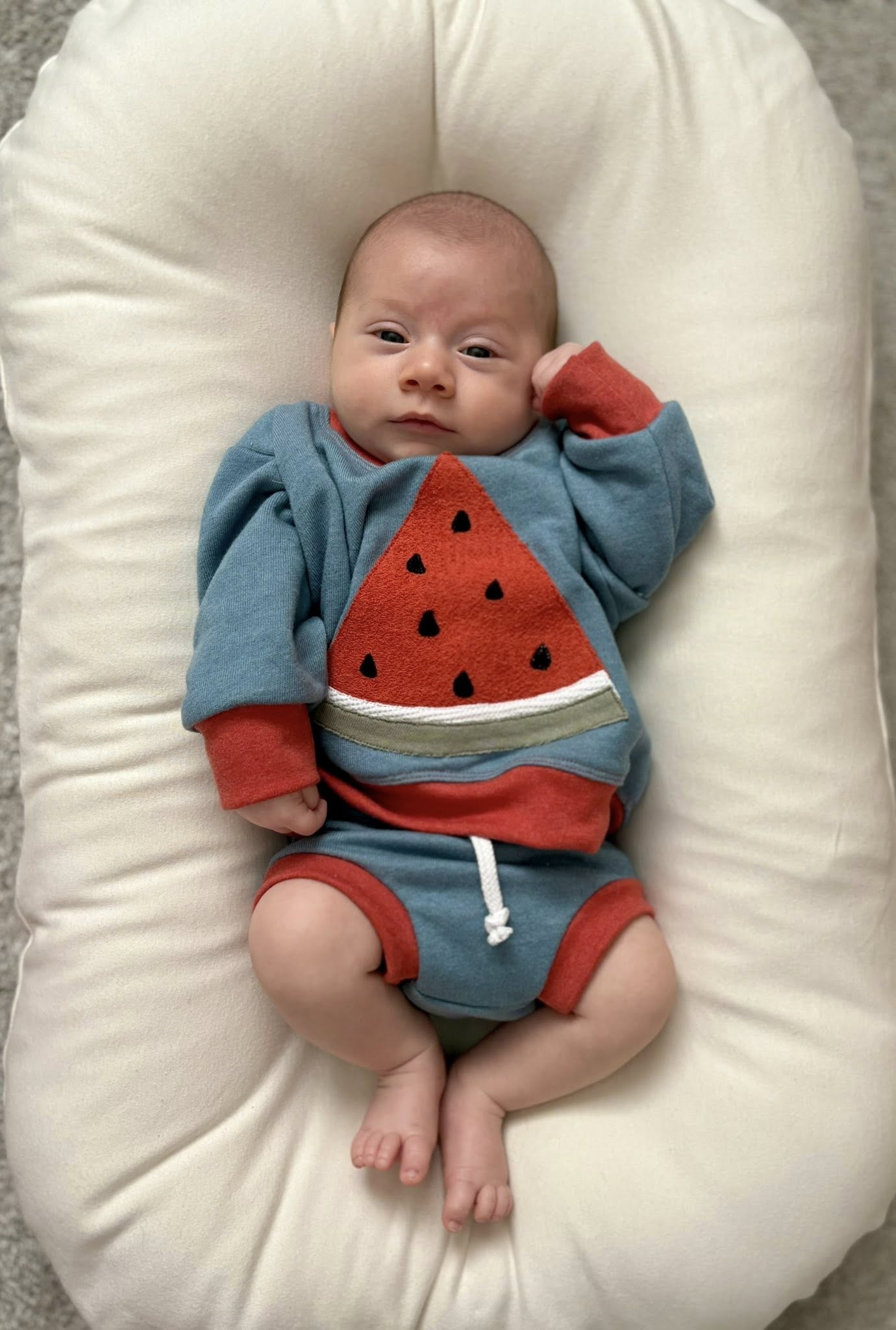 Watermelon Appliqué Digital Download