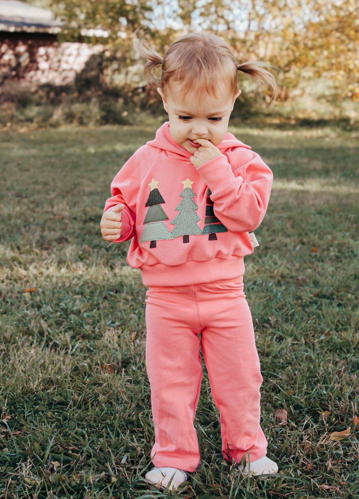 Winter Truck Appliqué Set – Digital Download