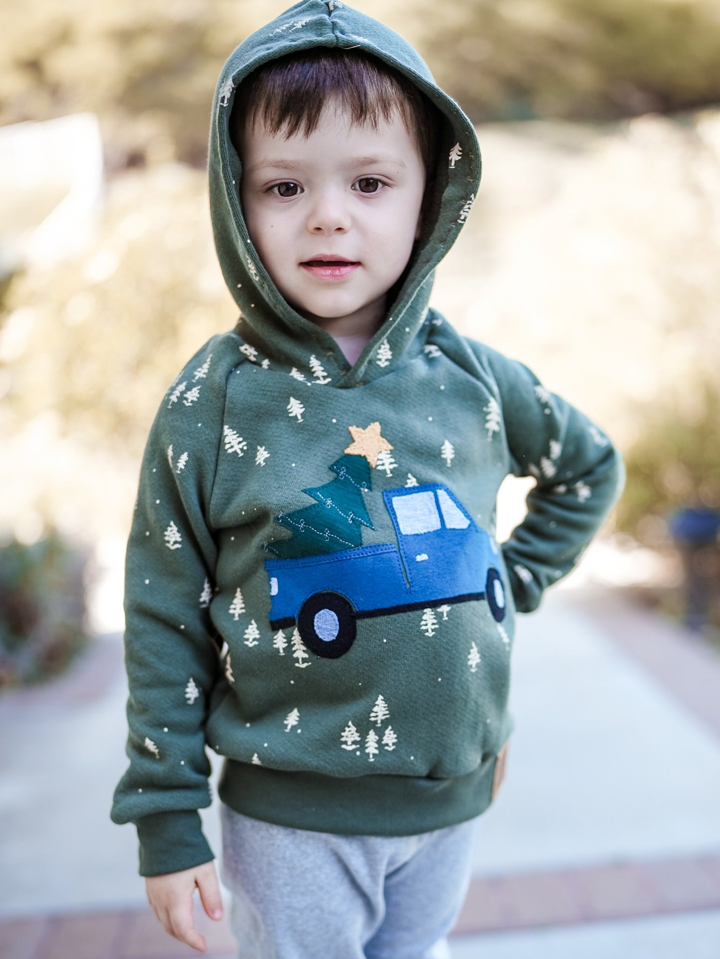 Winter Truck Appliqué Set – Digital Download