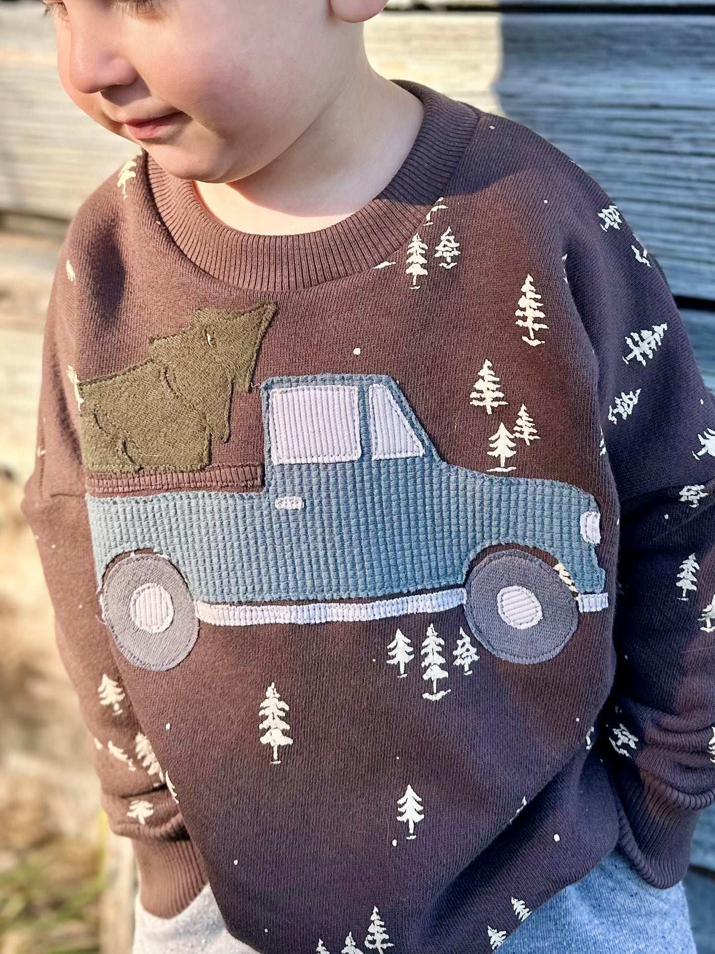 Winter Truck Appliqué Set – Digital Download