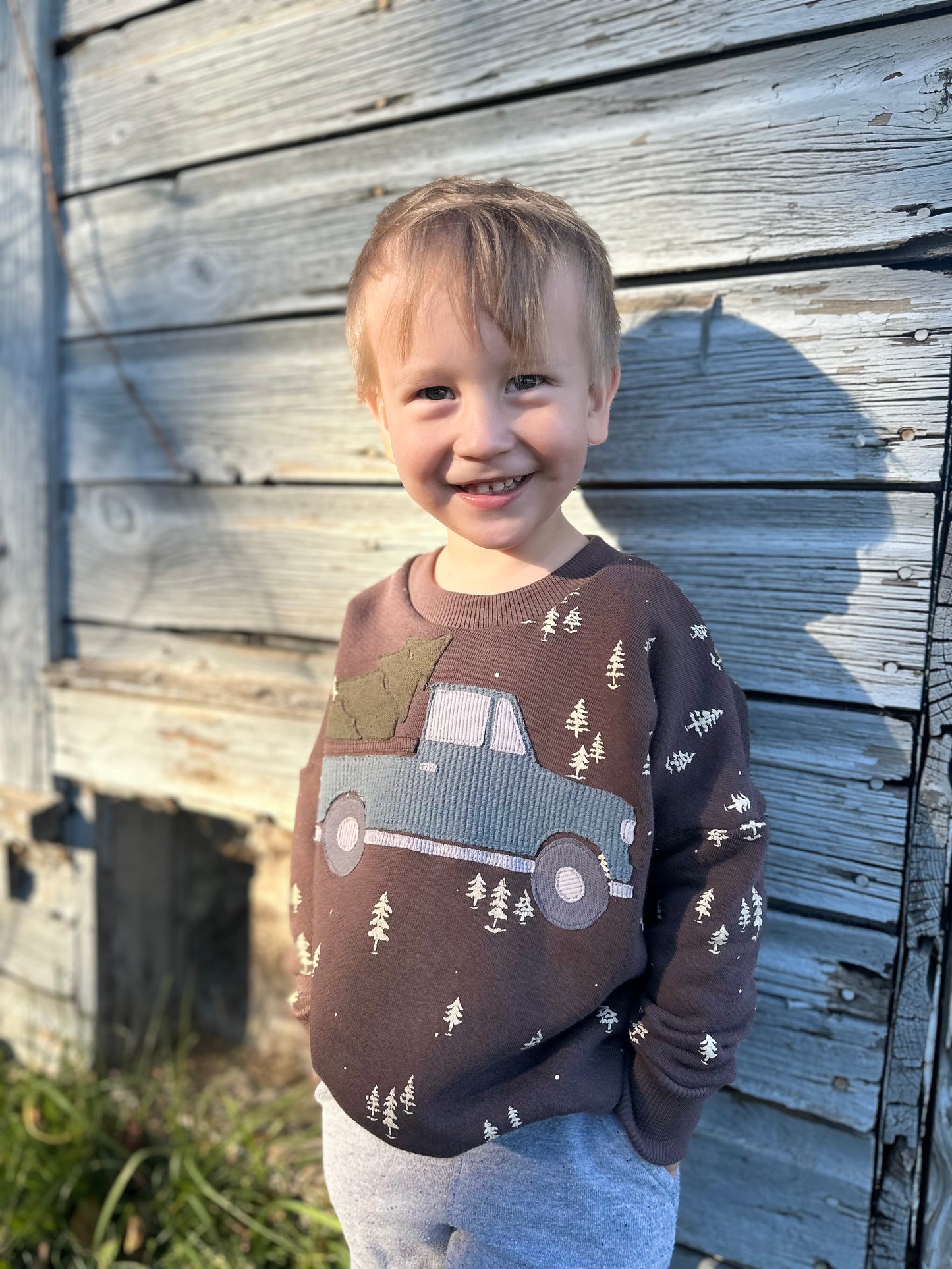 Winter Truck Appliqué Set – Digital Download