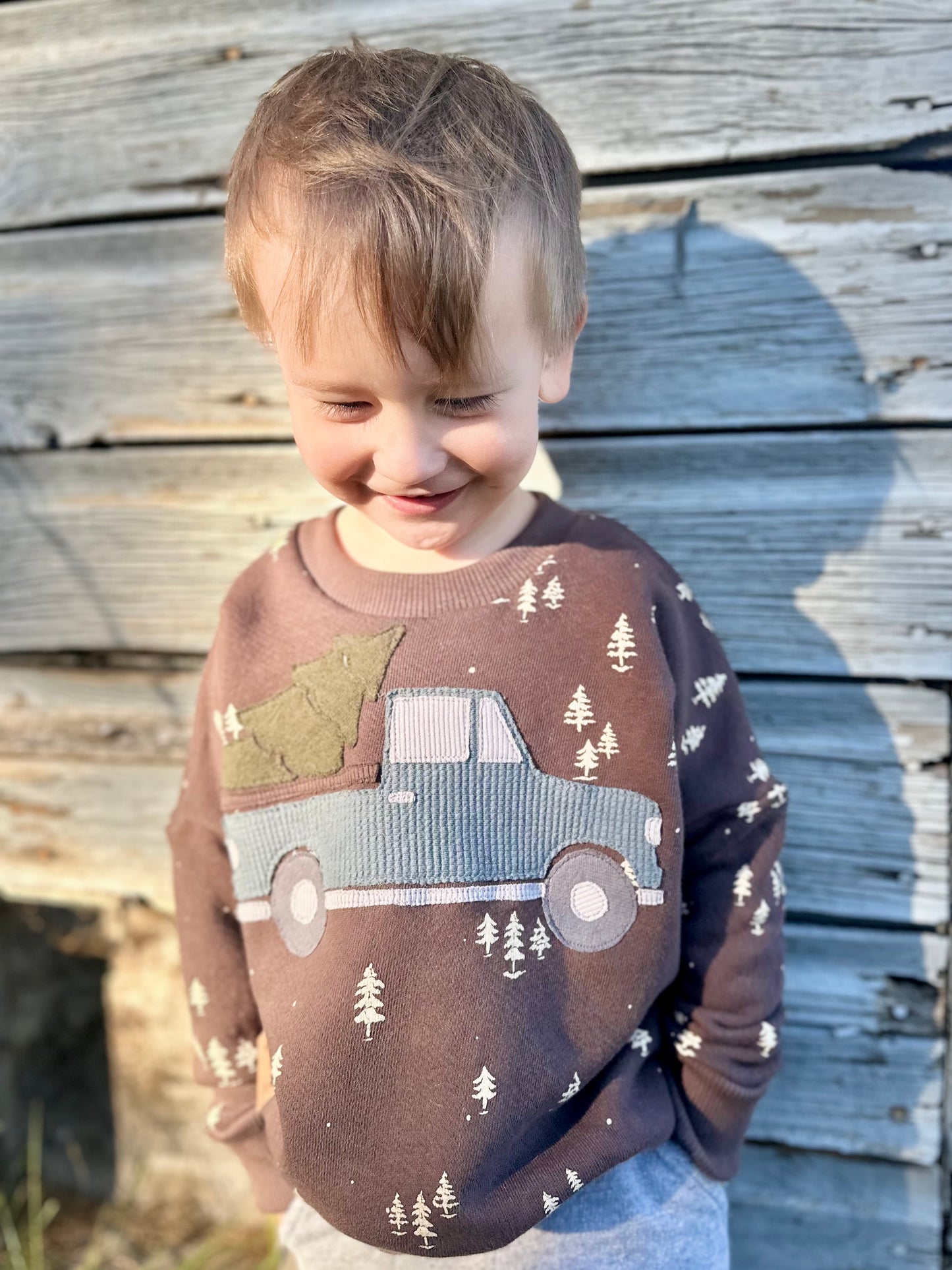Winter Truck Appliqué Set – Digital Download