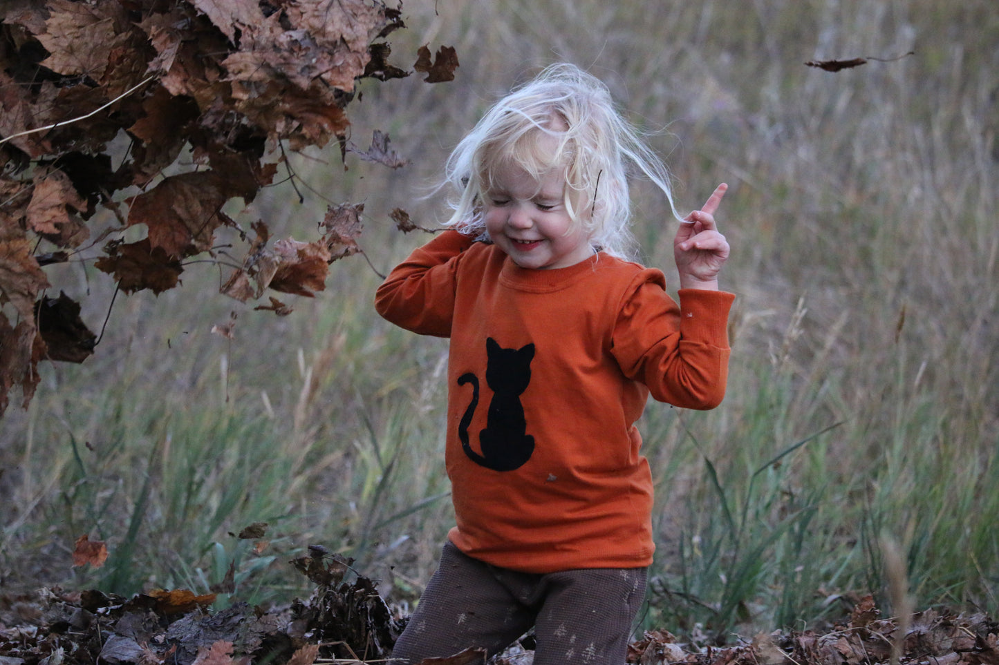 Cats & Pumpkin Applique Set Digital Download