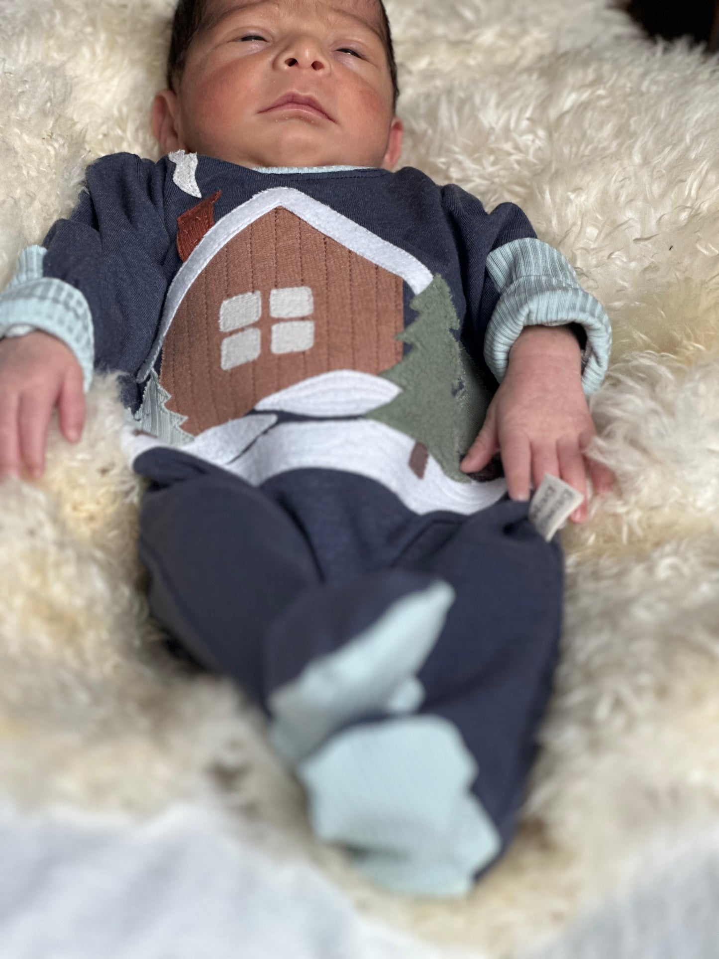 Winter Cabin Appliqué Set – Digital Download