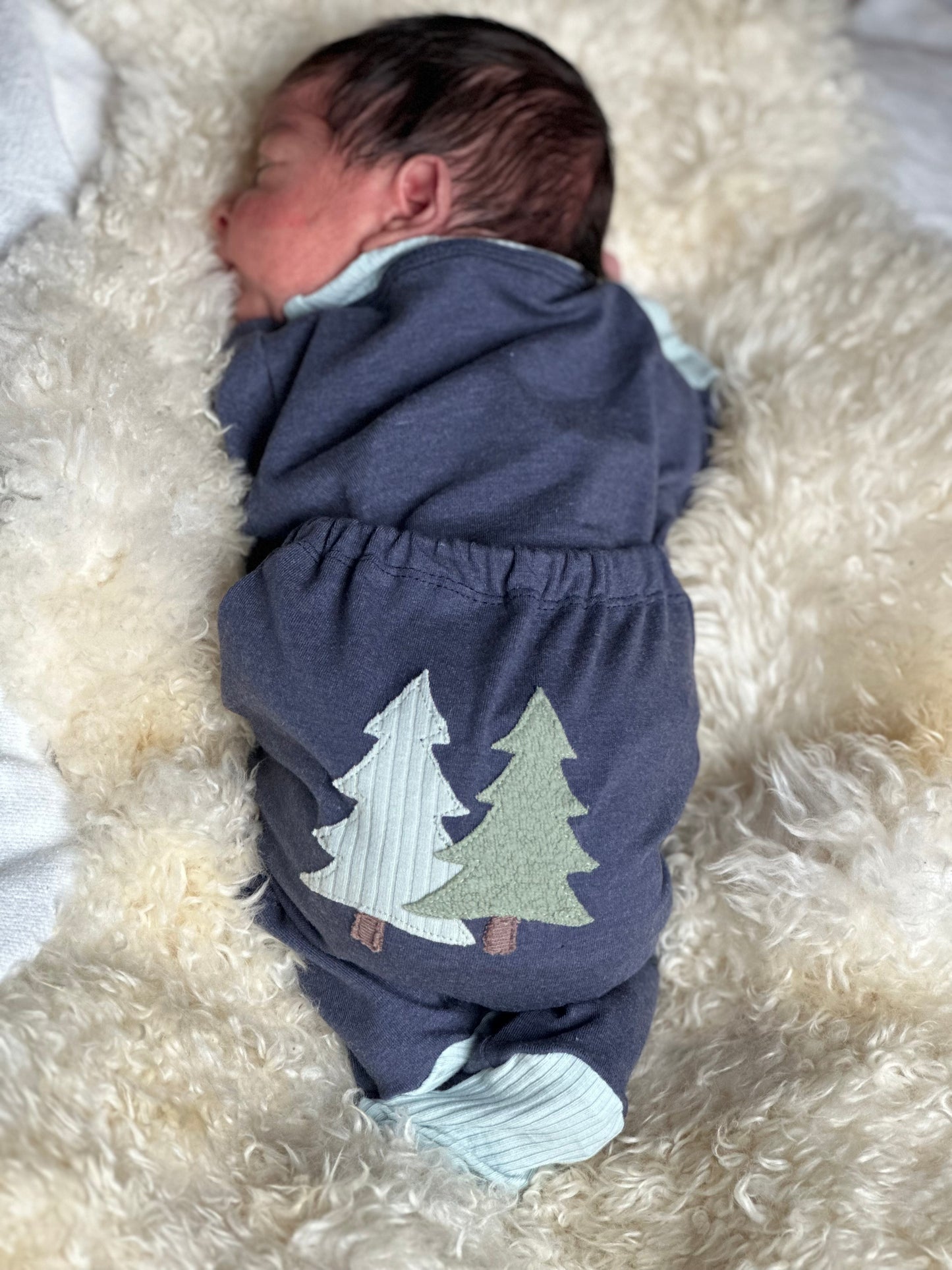 Winter Cabin Appliqué Set – Digital Download