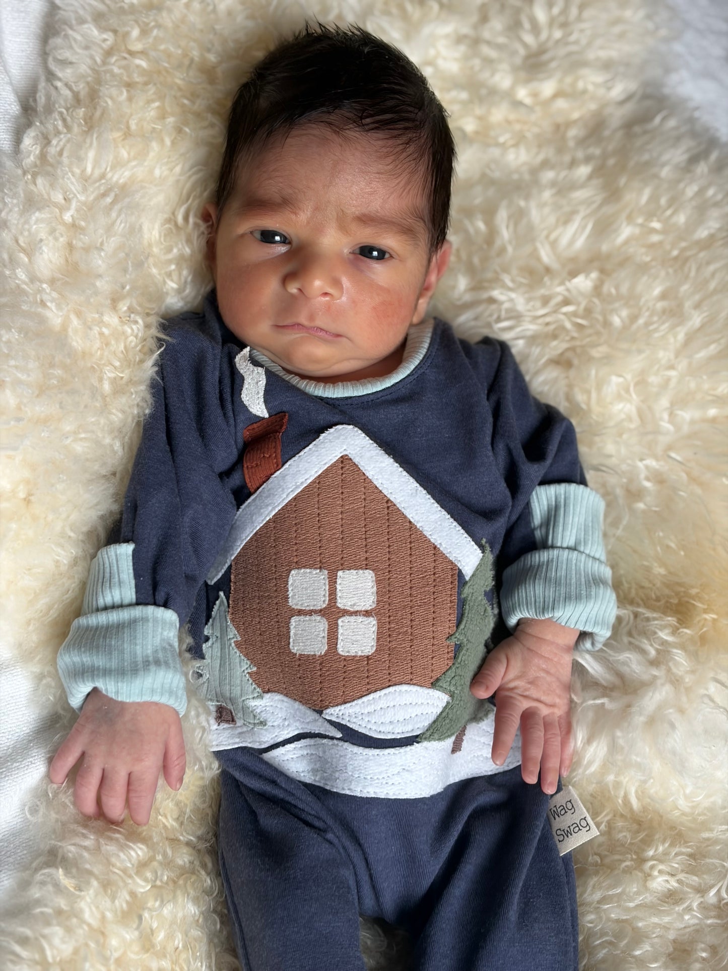 Winter Cabin Appliqué Set – Digital Download